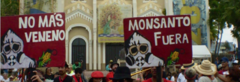 Marcha Día Internacional Contra Monsanto 2015